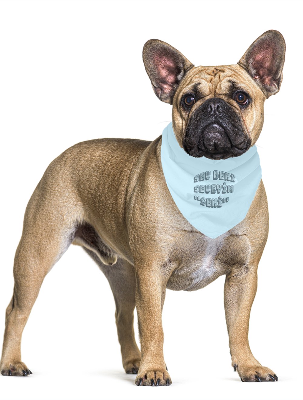 MonaSeraaShop Pet Bandana 4431857