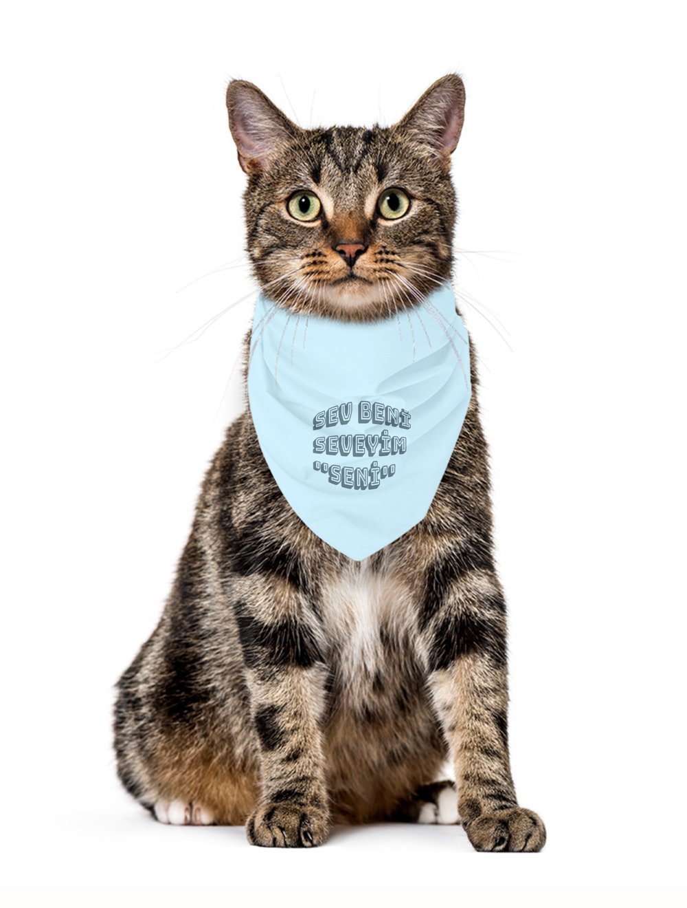 MonaSeraaShop Pet Bandana 4431857