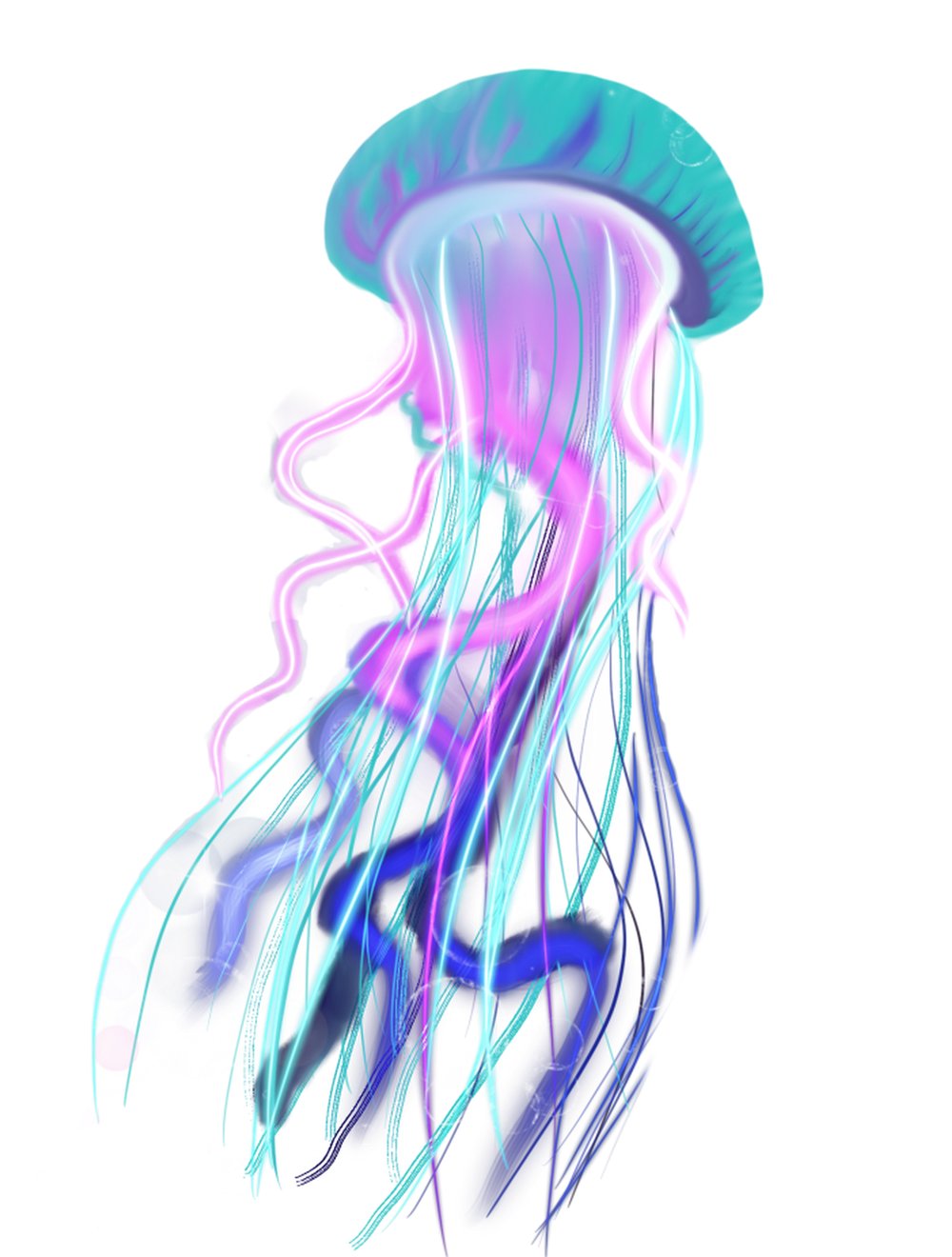 NMC Design Jellyfish 