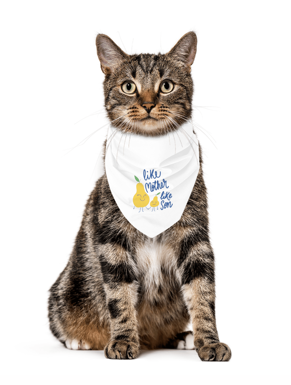 MonaSeraaShop Pet Bandana 6601853