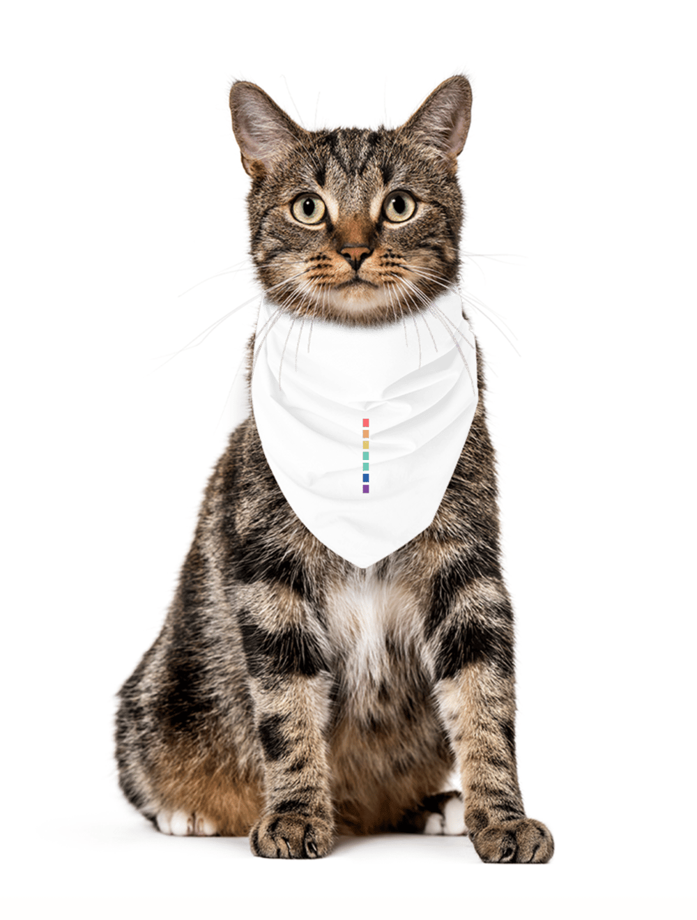 Velev Pet Bandana Beyaz