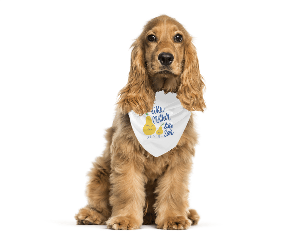 MonaSeraaShop Pet Bandana 6601853