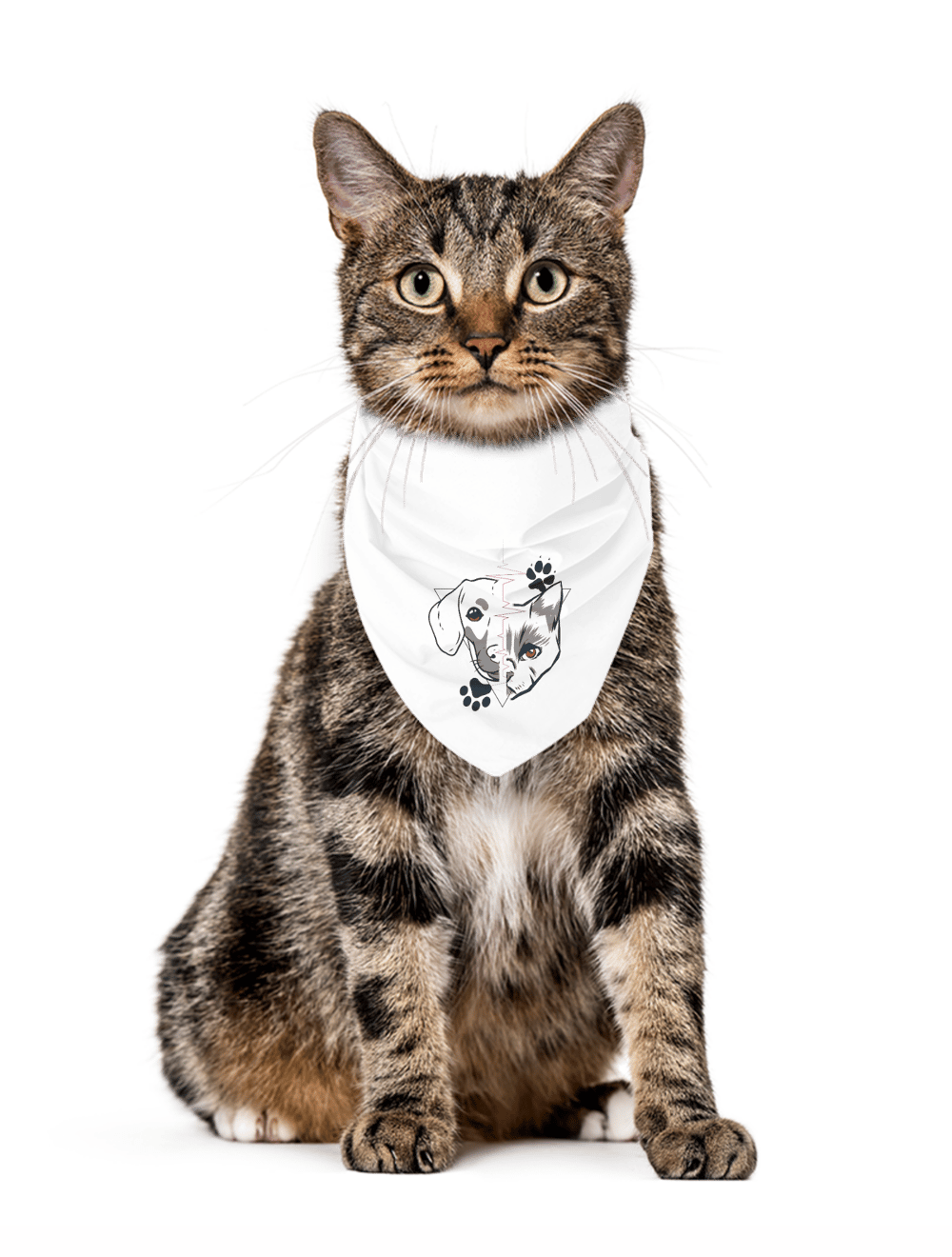 Jupi Creative Pet Bandana 1541858