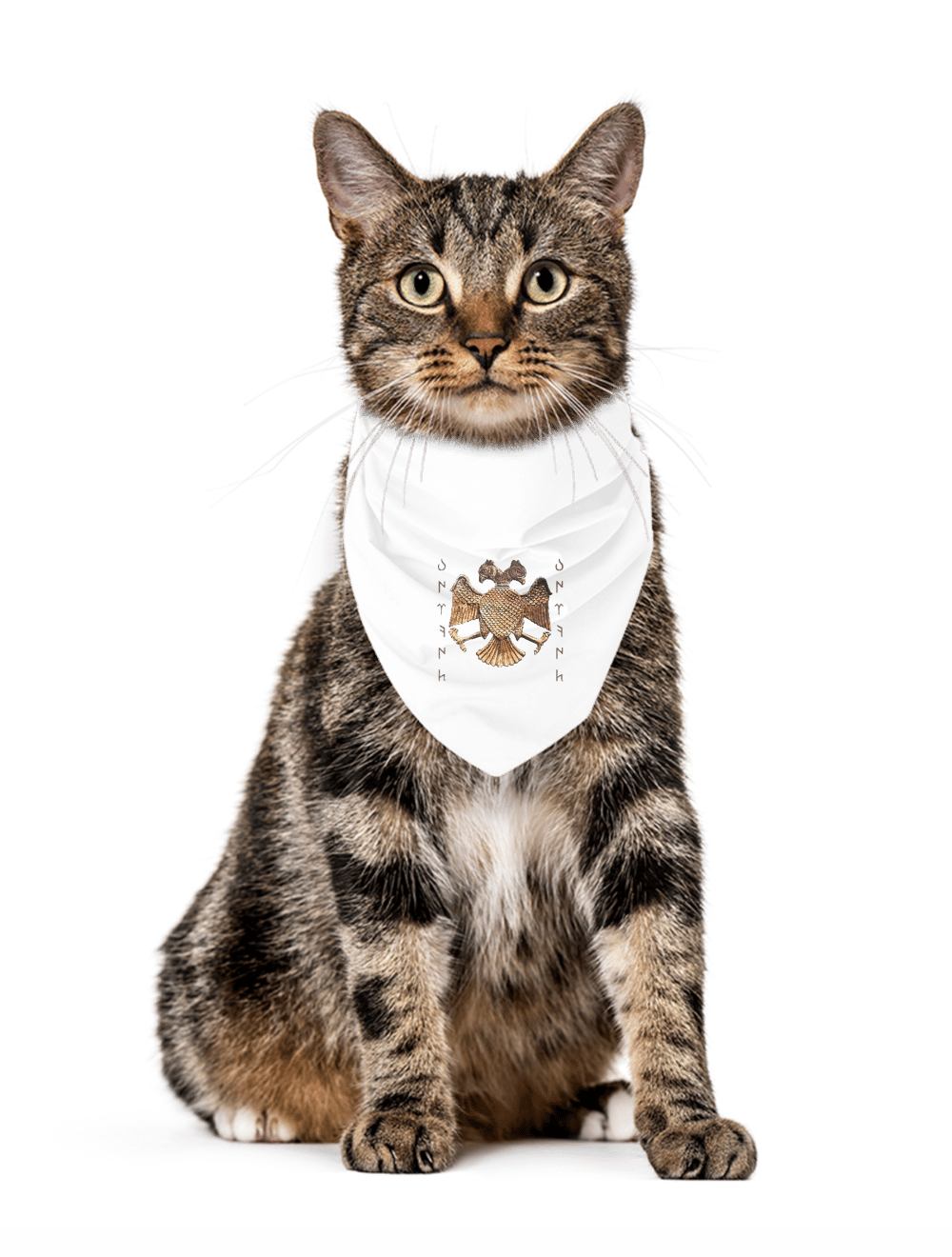 BÜRKÜT Pet Bandana 5990822