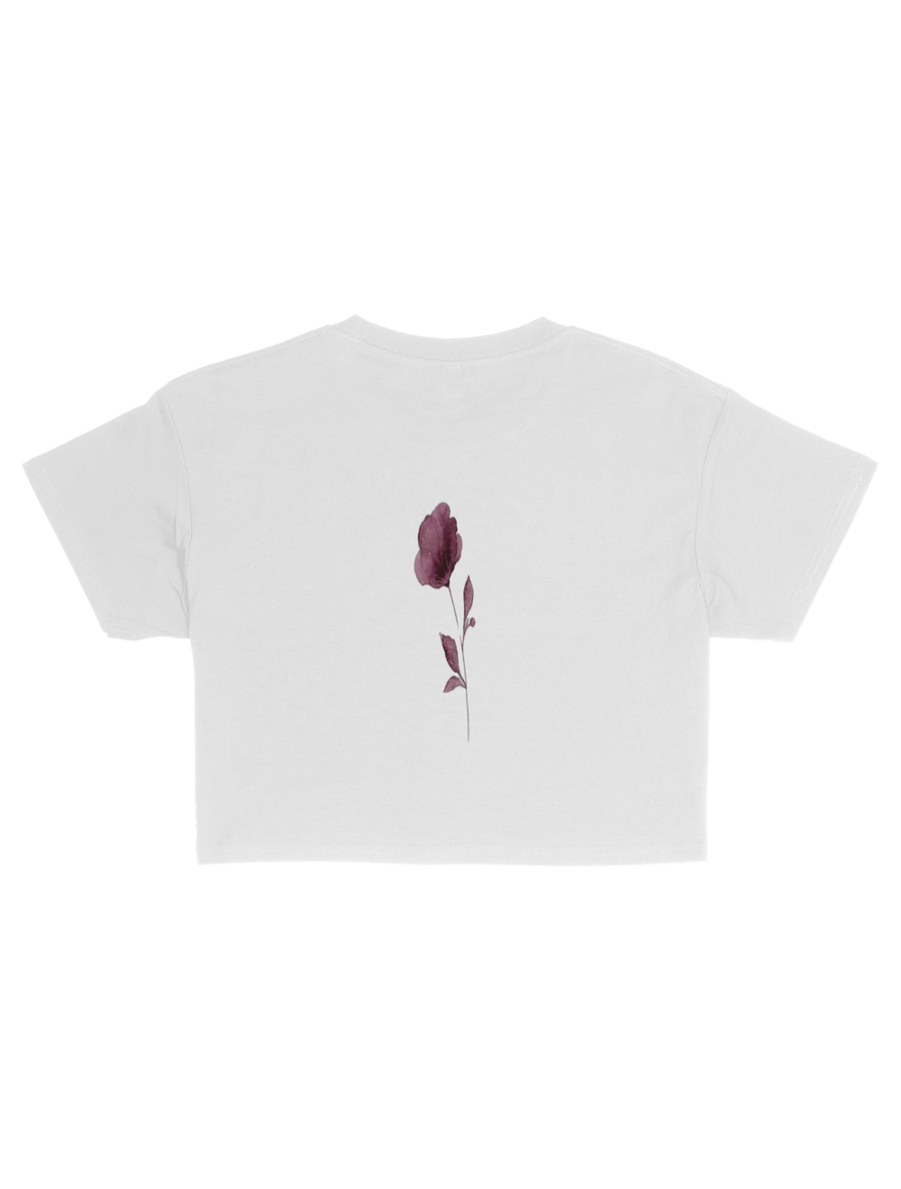 Olimpos Crop Top 3480141