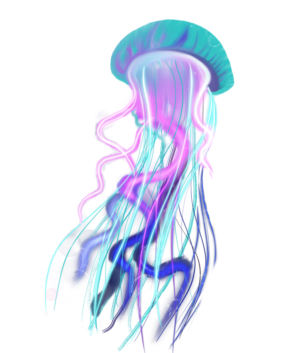 NMC Design Jellyfish 
