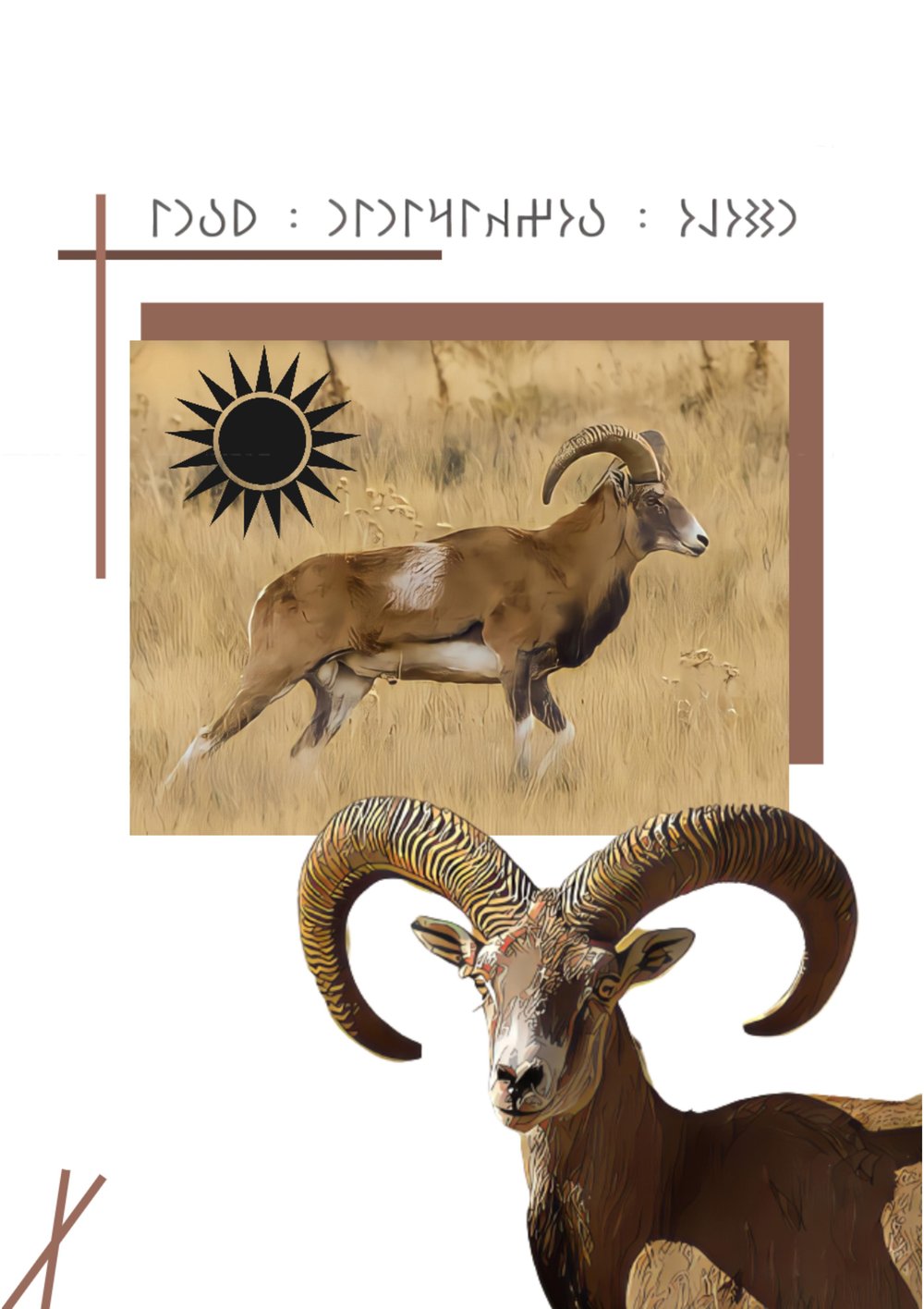 Anadolu bozkırının yabanı