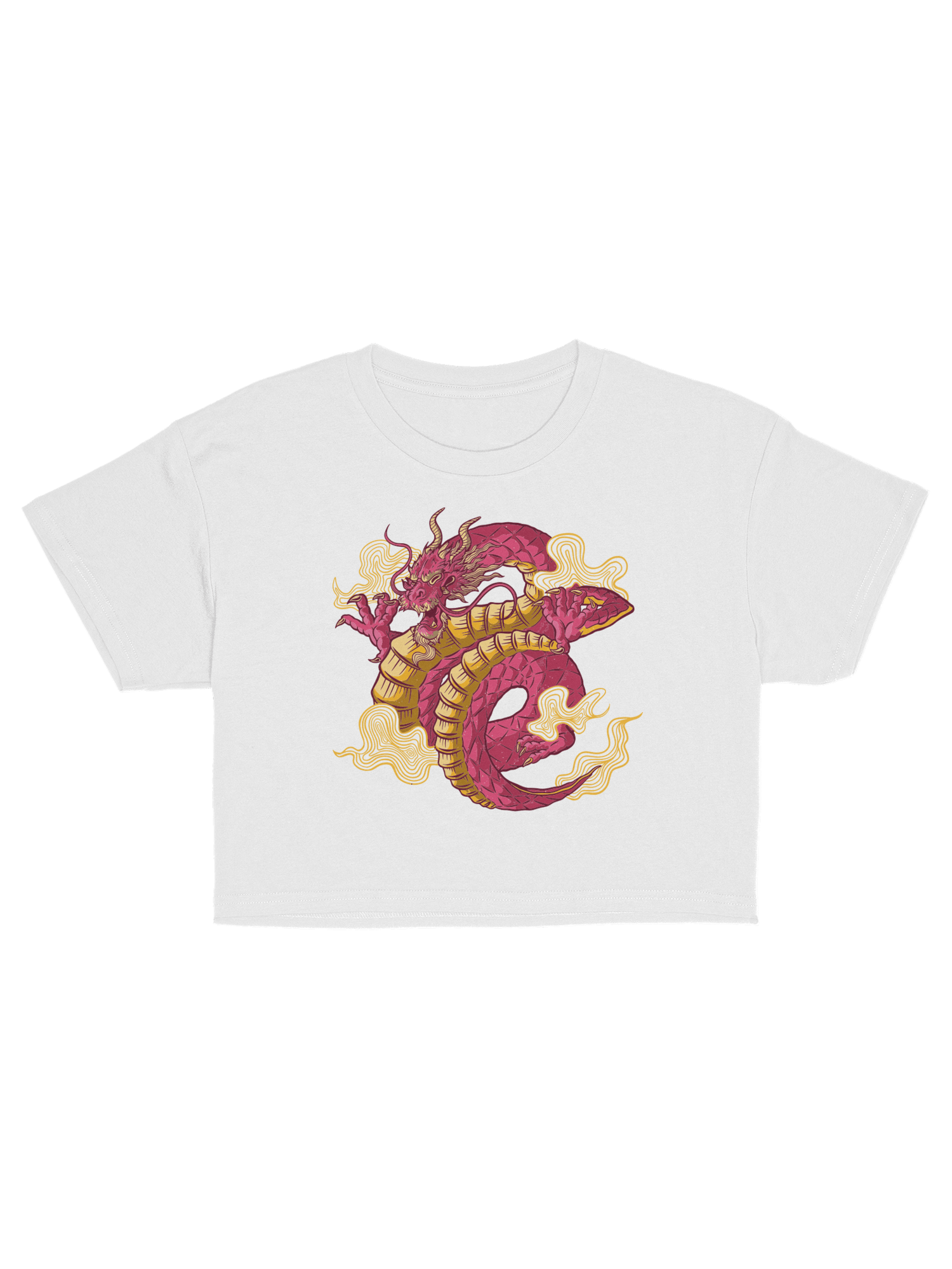 DRAGON Crop Top 5231428