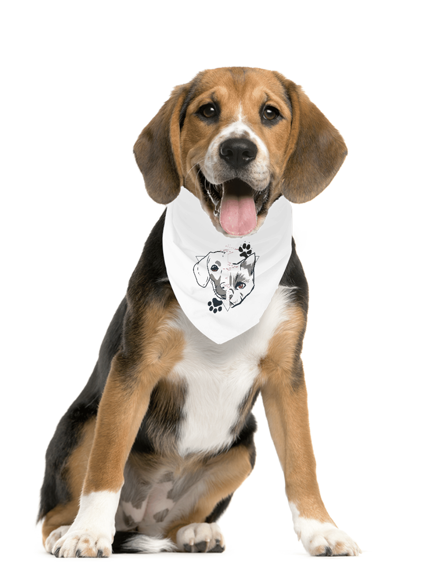 Burcuvazi Pet Bandana 9812233