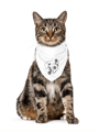 Jupi Creative Pet Bandana 1541858