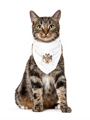 BÜRKÜT Pet Bandana 5990822